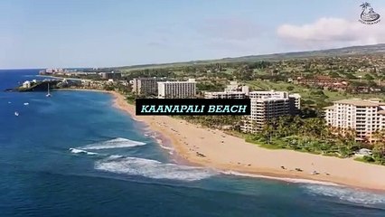 Which Maui Beaches Are Known For Their Consistent Surf Conditions