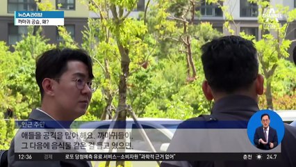 [취재가 시작되자]사람 공격하는 도심 까마귀