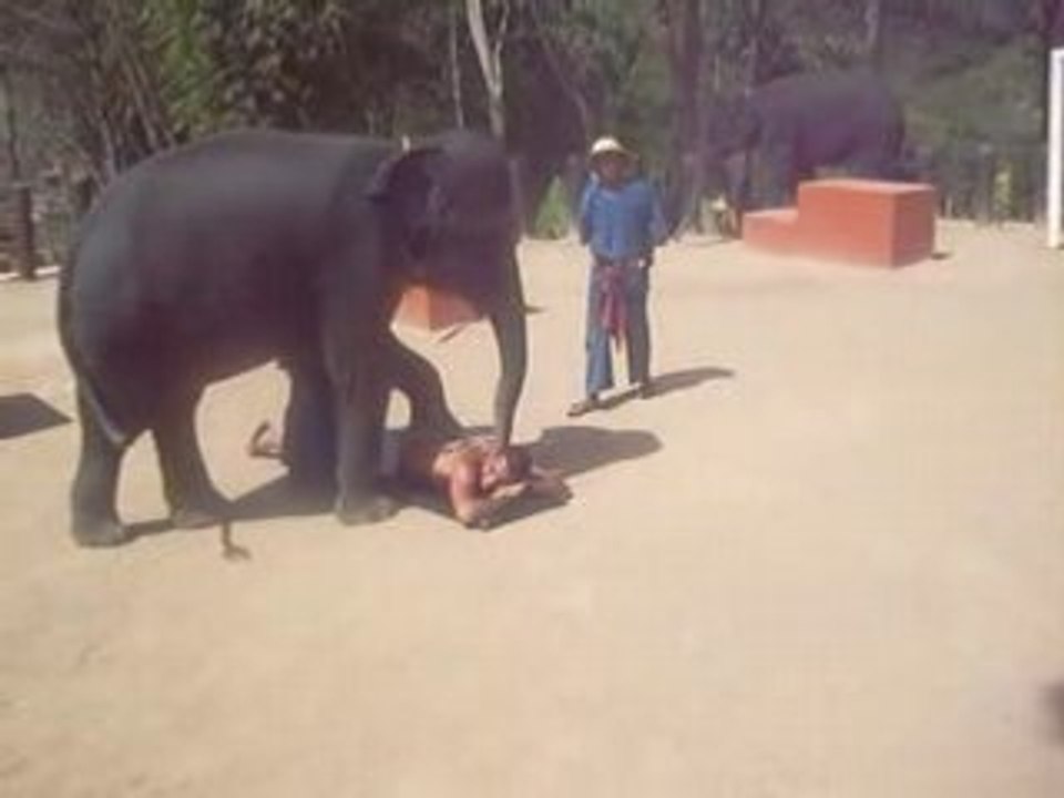 amine thailande massage elephant