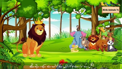 Moral story | بلی شیر کی خالہ ہے | Urdu story | Hindi story | birds animals tv|