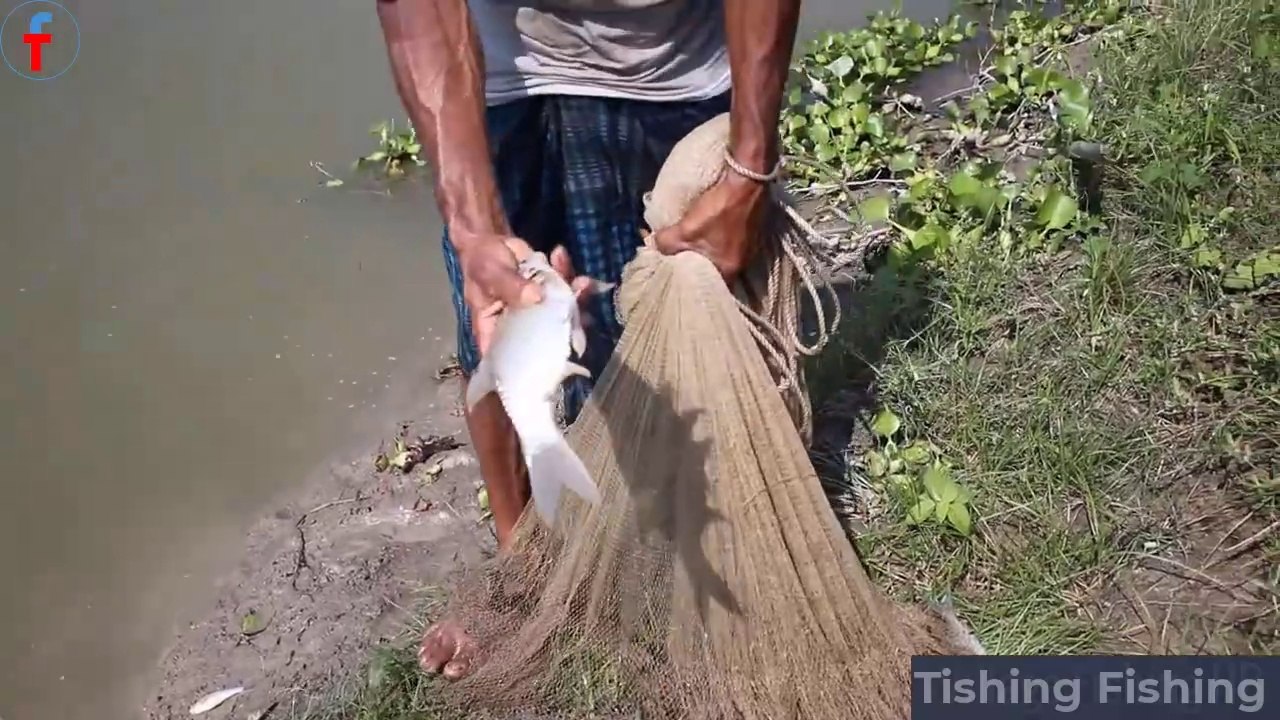 Cast Net Fishing Big Fish Hunting By Cast Net Net Fishing in The Village