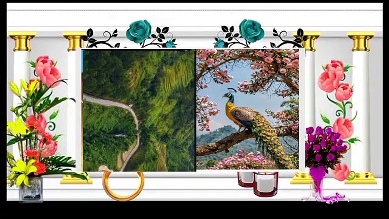 قدرت کےنظارے