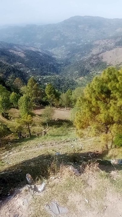 Kashmir