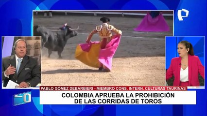 Pablo Gómez: "Hay dos sentencias del TC que declaran que la tauromaquia es una espectáculo cultural"