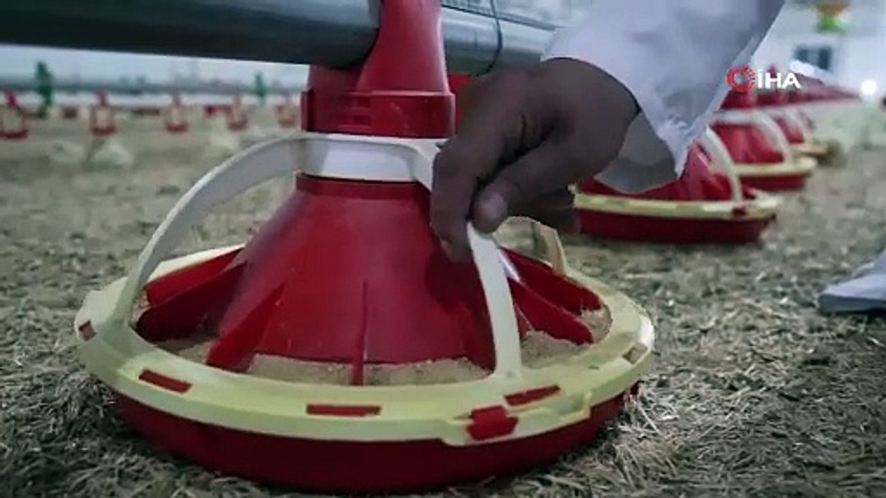 25 yıllık mesleğini bırakıp devlet desteğiyle kendi işinin patronu oldu