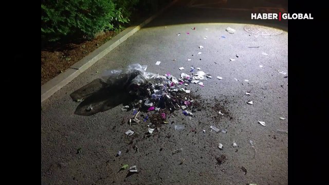 Kuzey Kore, Güney Kore'ye balonlarla çöp ve dışkı gönderdi