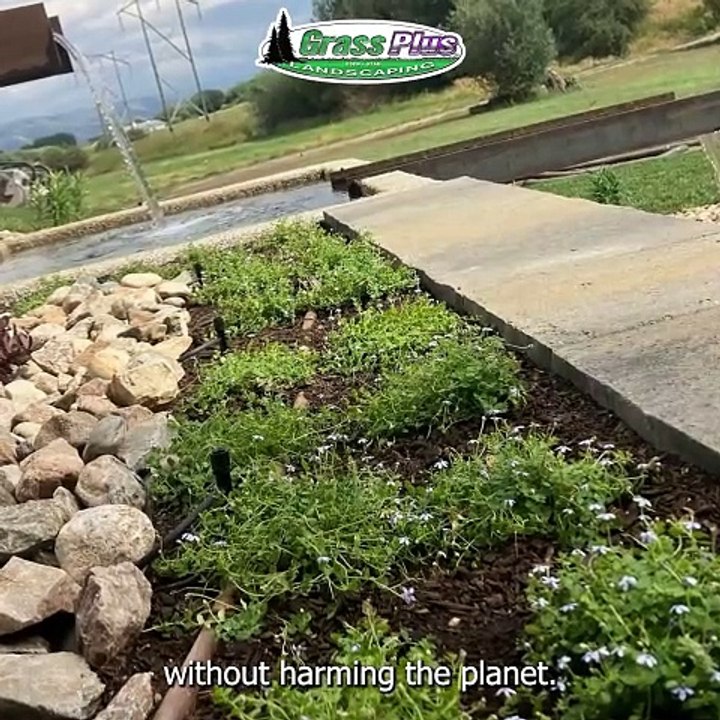 Eco-Friendly Landscaping Goals for a Beautiful Yard
