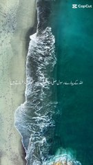 Divine Wisdom in the Quran's Ayahs ✨