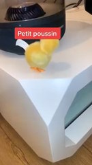 Comment acheter facilement ?