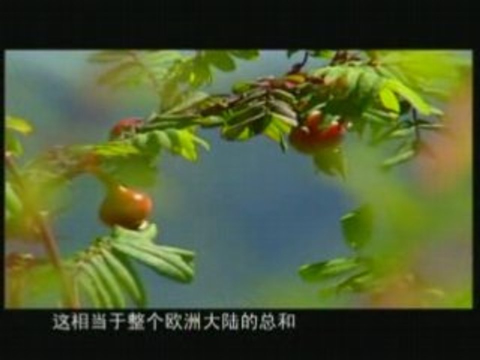 峨眉山_下