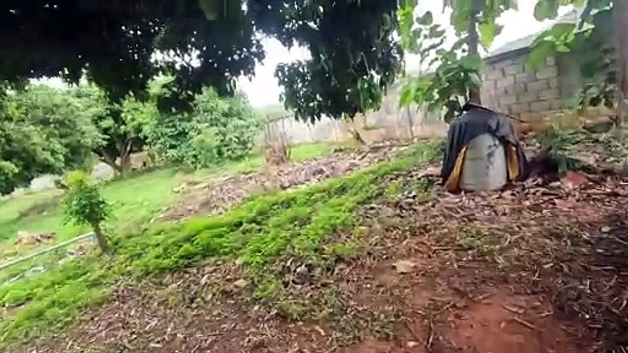 Farmrundgang mit Normen