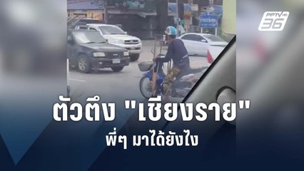 เจอแล้วตัวตึง "เชียงราย"  | PPTV Online