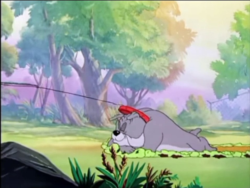 Tom and Jerry