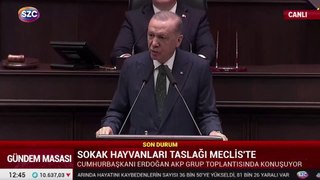 Erdoğan: Yakala-kısırlaştır çözüm olmadı