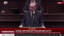 Erdoğan: Yakala-kısırlaştır çözüm olmadı