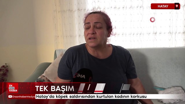 Hatay'da köpek saldırısından kurtulan kadının korkusu: Tek başıma sokağa çıkamıyorum