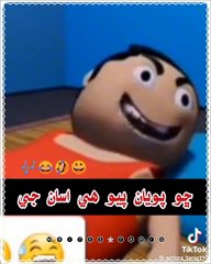 چور نے باآسانی سےبکرے چوری کرلئے