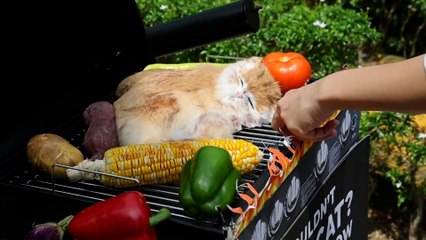 Polémica campaña en la que simulan cocinar un gato en una barbacoa