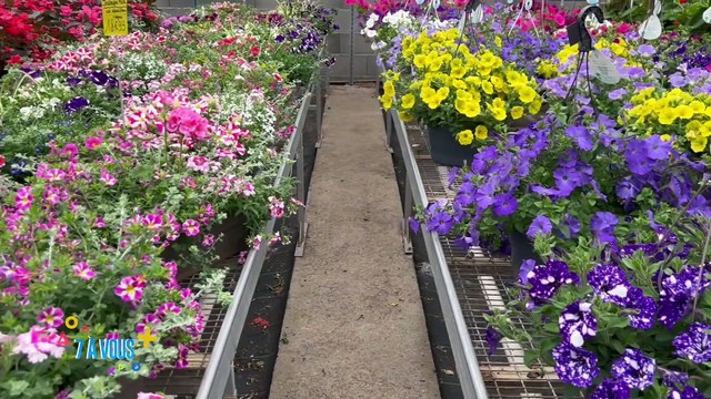 Zoom cette semaine sur le Festival Futurs Possibles il se déroule au Château de Goutelas, Léna Seux-Peysonnel notre invitée, nous dévoile le programme de cette nouvelle édition dédiée cette année à la question de notre alimentation !