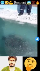 #respect#shorts#trending respect videos
