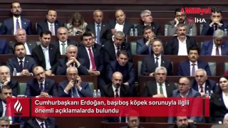 Cumhurbaşkanı Erdoğan'dan başıboş köpek sorunuyla ilgili açıklama