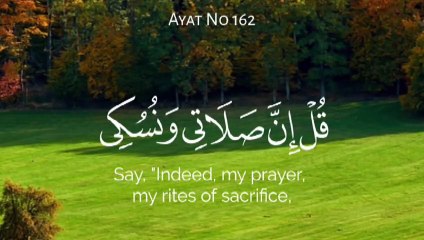 Quran Al Kareem (قرآن الكريم)