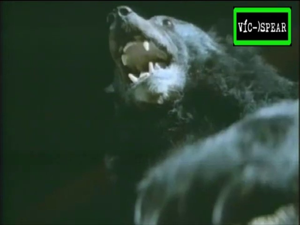 Viaje hacia de lo Desconocido: el Oso Dios de K...