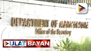 D.A., binigyang-diin ang panawagan para sa pag-amyenda sa Rice Tariffication Law