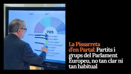 La Pissarreta d'en Partal: Partits i grups del Parlament Europeu, no tan clar ni tan habitual