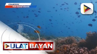 Masaganang marine species, nasaksihan ng mga freediver sa Dive Seafari 2024