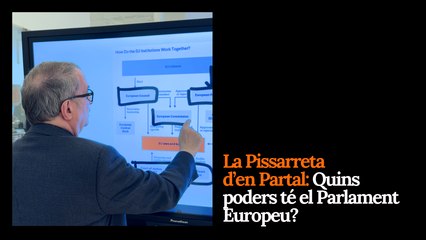 La Pissarreta d'en Partal: Quins poders té el Parlament Europeu?