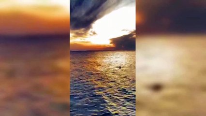 Sinop açıklarında boğulmak üzereyken kurtarıldı