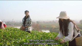 Love in the Tea Garden (2024) Ep.4 Eng Sub