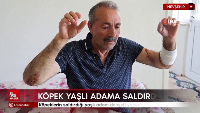 Nevşehir'de köpeklerin saldırdığı yaşlı adam dehşeti yaşadı
