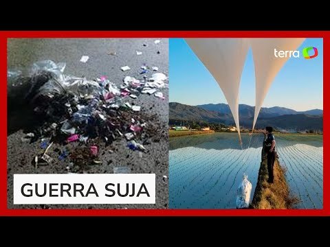 Coreia do Norte envia dezenas de balões com lixo para a Coreia do Sul, dizem militares
