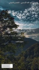 تفسير { إِذَا جَاءَ نَصْرُ اللَّهِ وَالْفَتْحُ }[ سورة النصر : 1 ]
