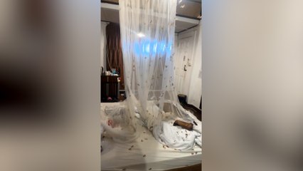 British backpackers in tears after cobra and ‘2,000’ moths swarm hotel room