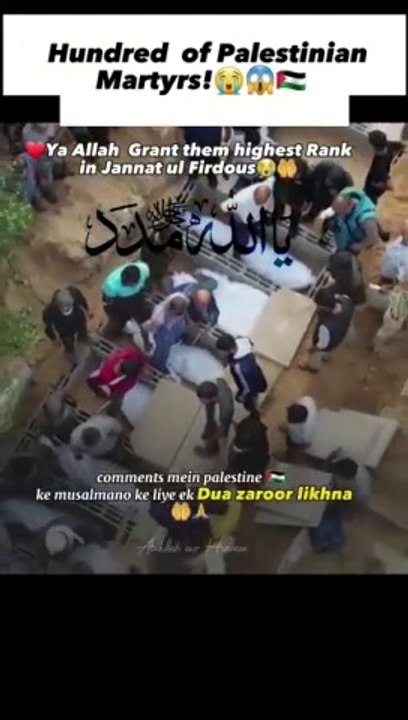 Zameen Kha Gayi Naujawan Kaise kaisePalestine shuhda _death _palestine _status _naat _shorts(360P)