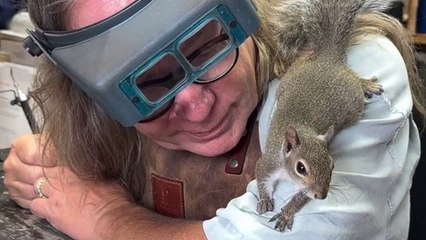 A man has befriended a squirrel - who now visits him every day and "helps" in his jewellery shop