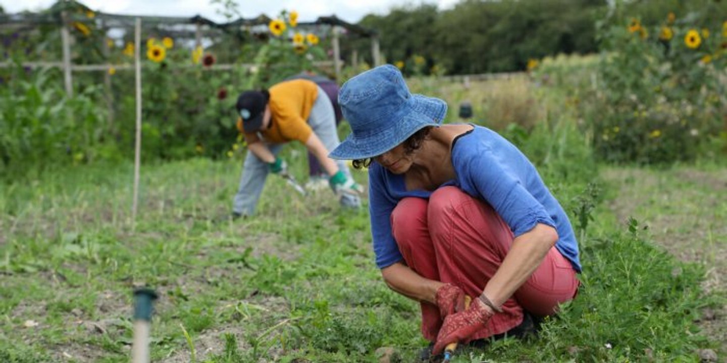 S'accroupir régulièrement pour booster sa santé - les bienfaits insoupçonnés