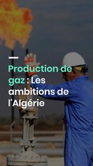 Production de gaz : Les ambitions de l'Algérie