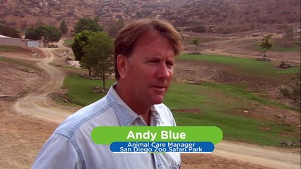 The Journey of Life Begins for this Adorable Baby Rhino