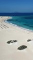 UNE DES PLUS BELLES plages du monde 2024 : Plage d’El Pozo (plage du Drapeau) sur Fuerteventura [@fuerteventura___]