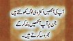 aqwal e zareen Urdu Whatsapp status Dpz _Urdu quotes_Daily Urdu inspiration quotes