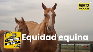 Equidad equina