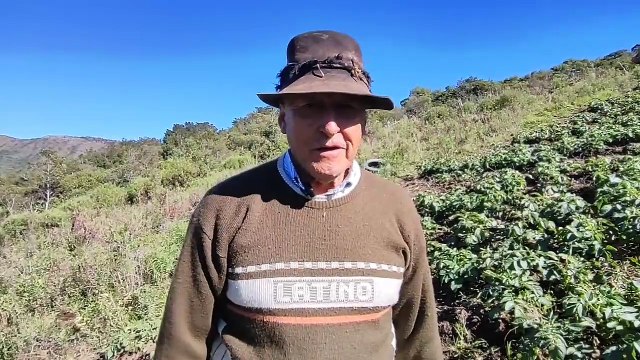 Temor entre los productores de los Valles cruceños tras el registro de heladas