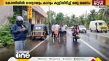 പത്തനംതിട്ട കോന്നിയിൽ ഓട്ടോയും കാറും കൂട്ടിയിടിച്ച് ഒരാൾ മരിച്ചു