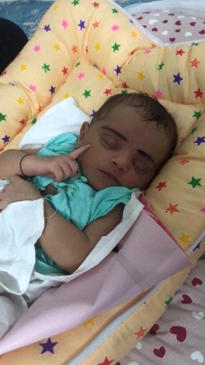 Dreaming of cookies and conquering the playground 