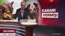 Fatih Portakal'dan iktidara köpek itlafı uyarısı