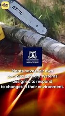 बड़े बनो, देना सीखो! || आचार्य प्रशांत